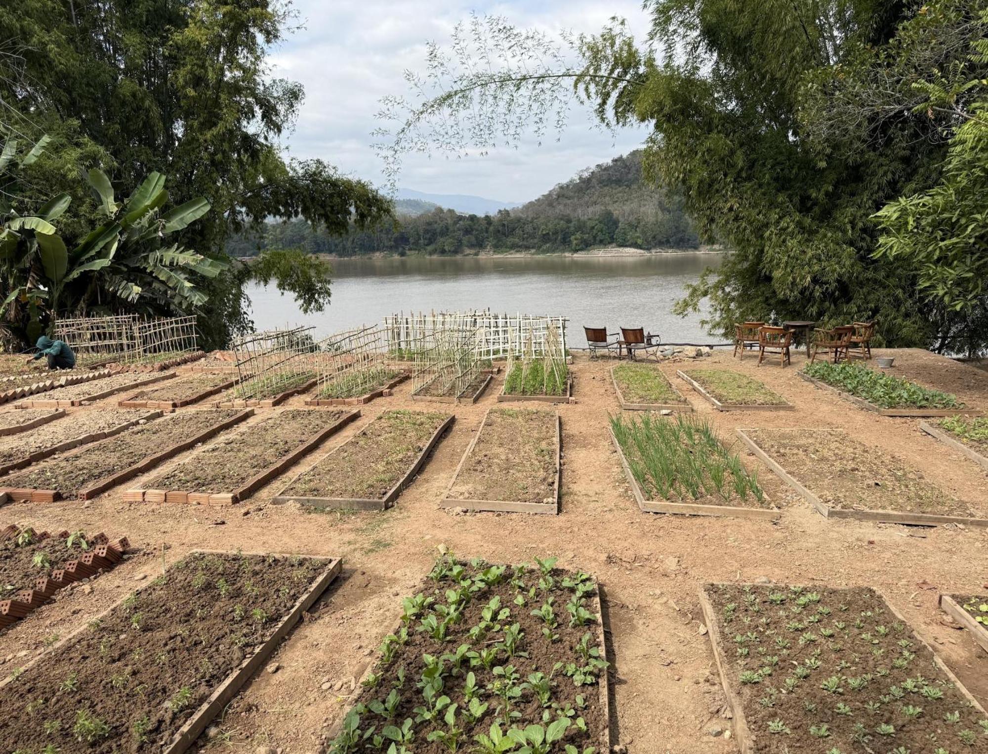 On The Mekong Resort 루앙프라방 외부 사진